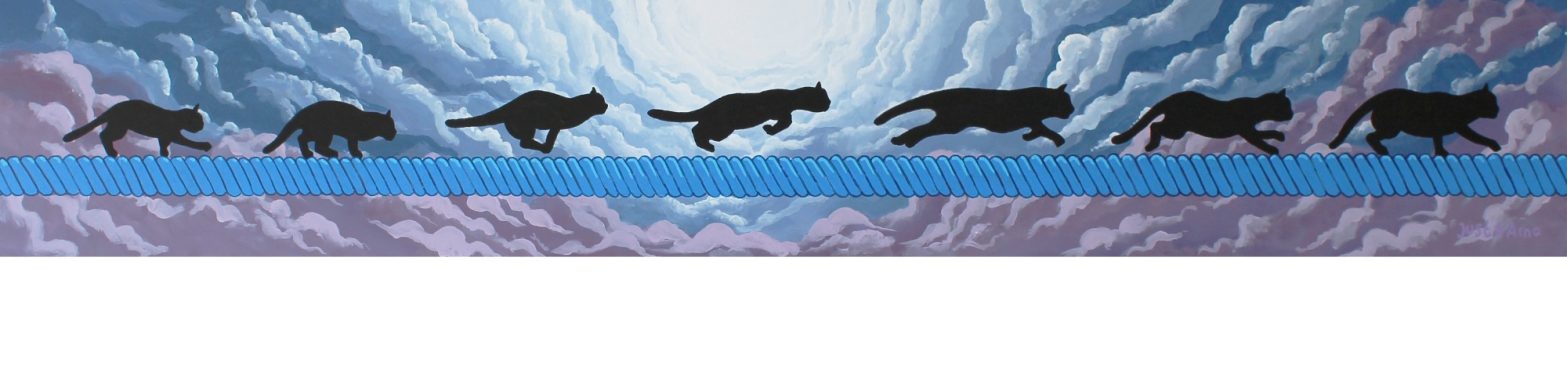 cat jumping